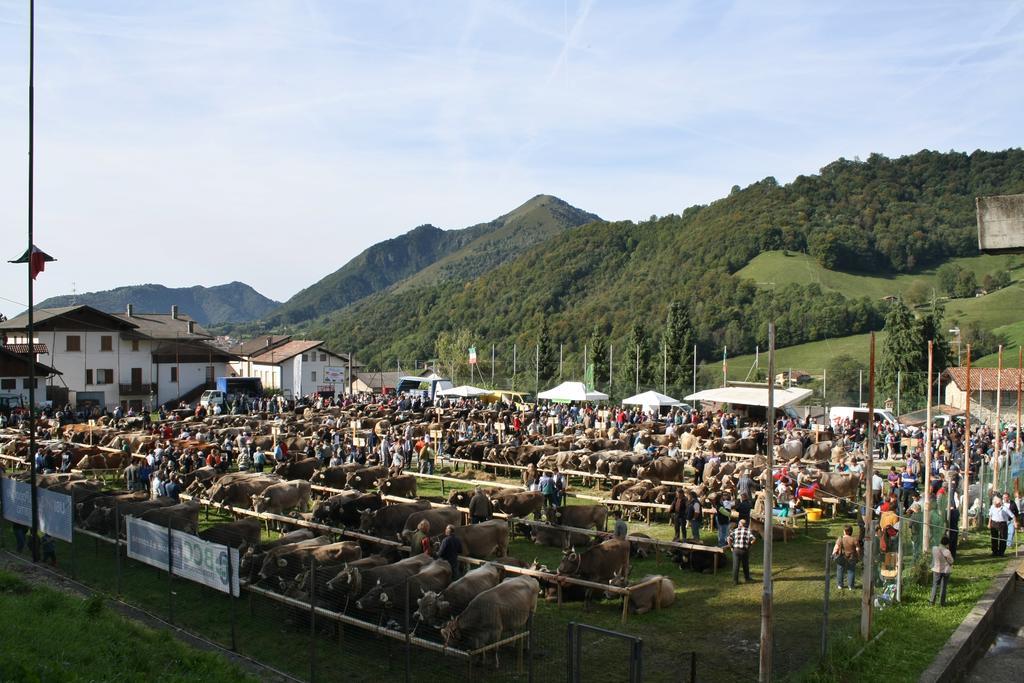 Villa Dei Pini Serina  Pokój zdjęcie
